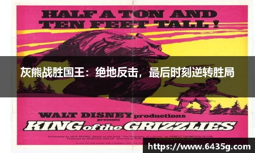 灰熊战胜国王：绝地反击，最后时刻逆转胜局